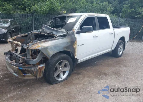 2010 Dodge Ram 1500 Slt/Sport/Trx z USA, uszkodzony, nr VIN 1D7RV1CT7AS262792